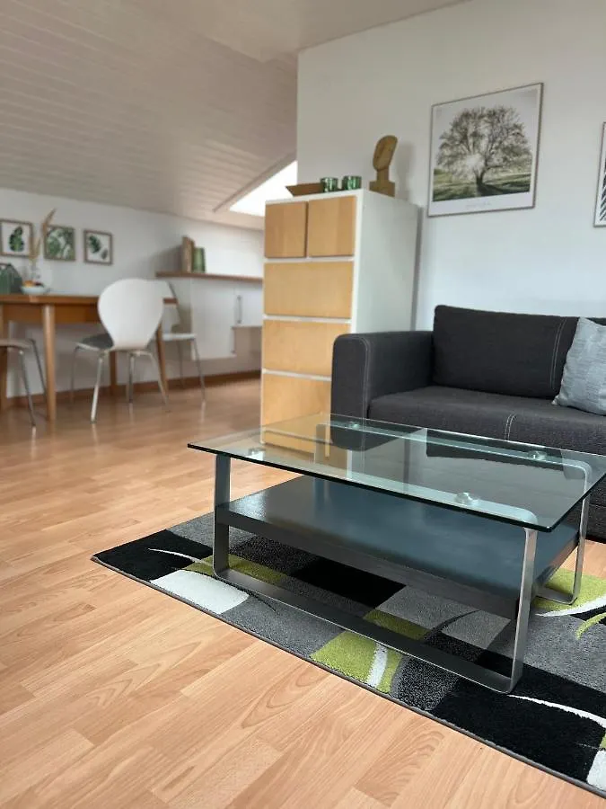 Apartment Dachgeschosswohnung In Weiherhammer